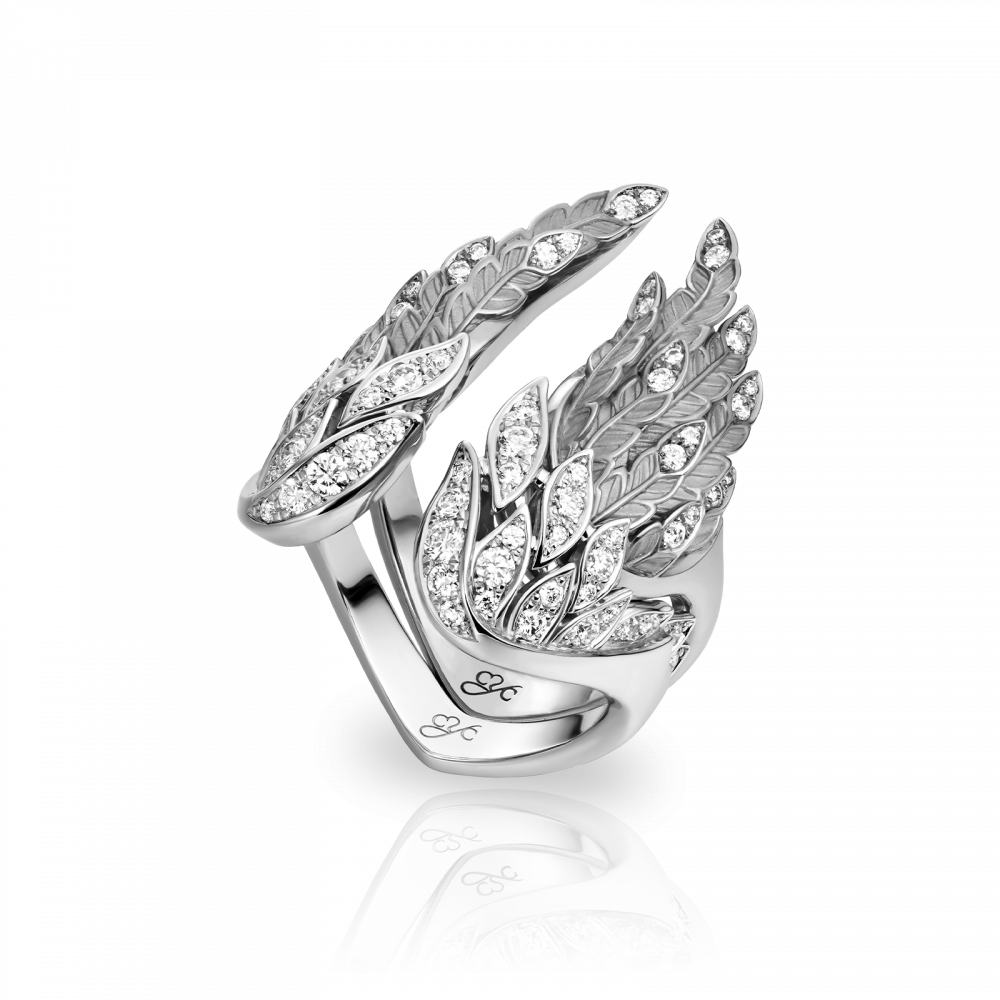 Carrera y Carrera Ring