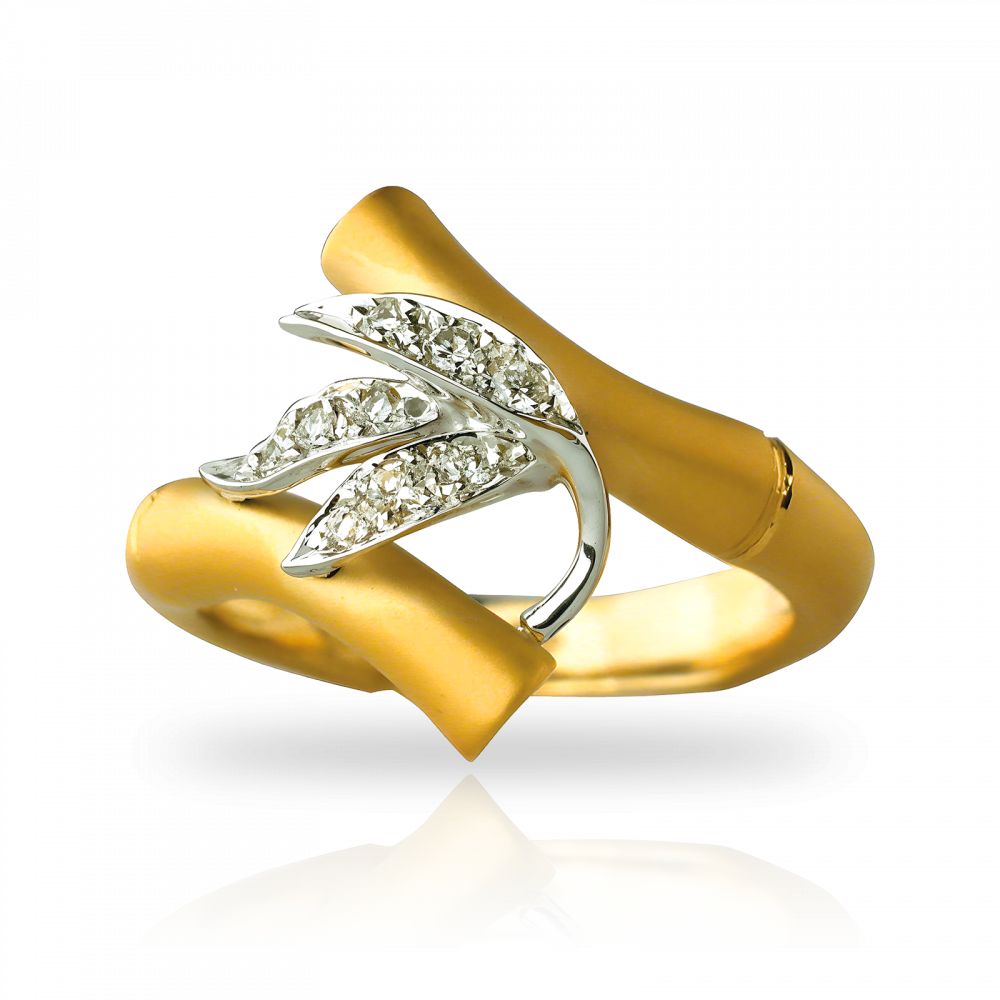 Carrera y Carrera Ring