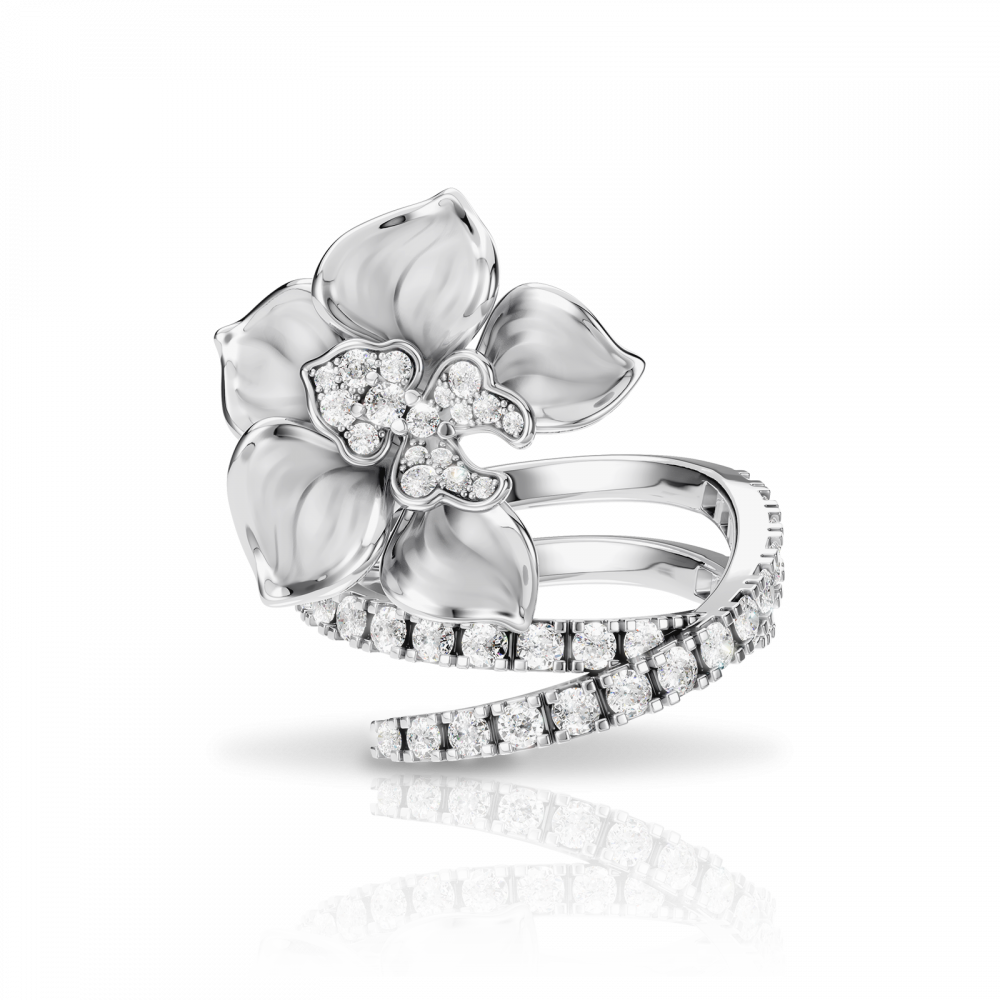 Carrera y Carrera Ring