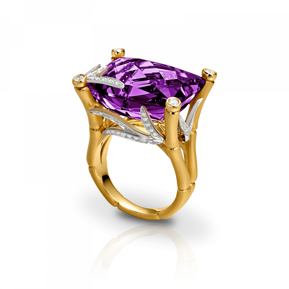 Carrera y Carrera Ring